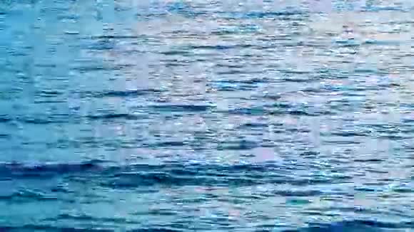粉红海在日出视频的预览图