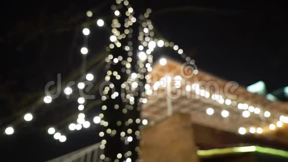 夜间花园树上悬挂装饰户外弦灯视频的预览图