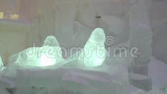 冬城冻海豹的冰雕由冰雪制成的海豹雕塑俄罗斯的冰雕视频的预览图