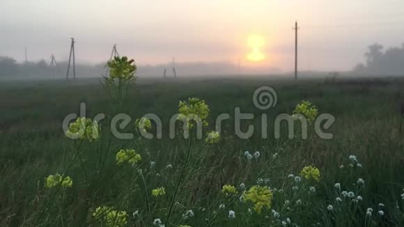 早晨的雾电极俄罗斯村庄视频的预览图