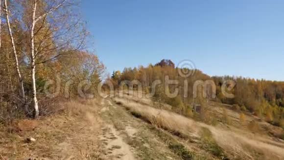 镜头移动到草地上的山上秋天的美丽草地视频的预览图