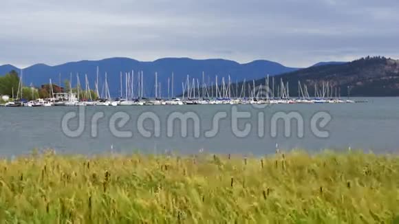蒙大拿州海滨帆船视频的预览图