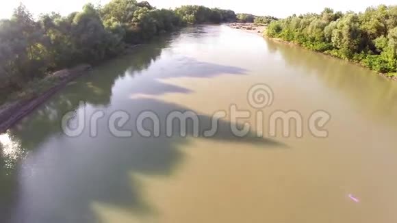 河在森林里流动视频的预览图