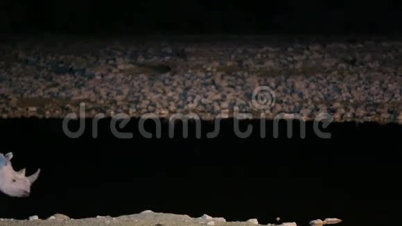 莱姆莱诺走在水洞附近视频的预览图