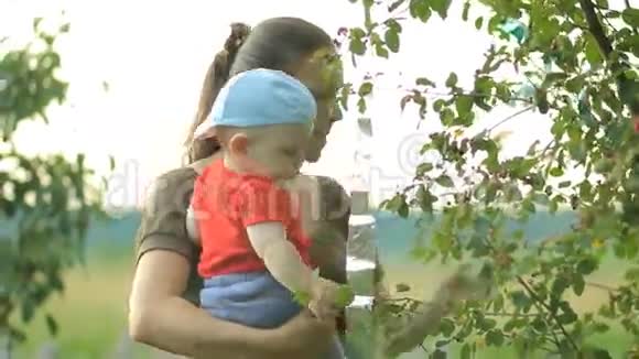 母亲和小儿子吃树上的浆果不到一年的漂亮宝宝视频的预览图