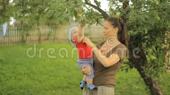 小男孩和她年轻的妈妈一起玩苹果树视频的预览图