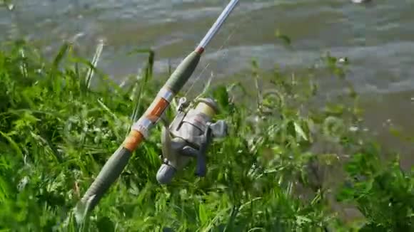 芦苇鱼竿钓鱼4K之间的光滑水面视频的预览图