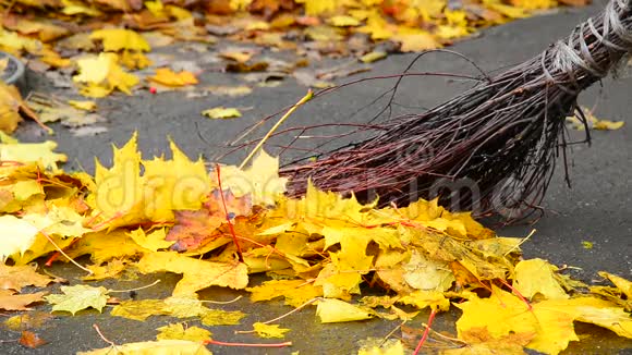 秋叶在人行道上和扫帚上视频的预览图