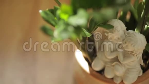 盆栽植物上的小爱情雕像视频的预览图