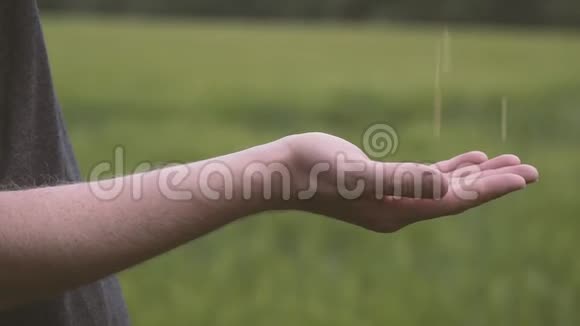 农夫穿着格子衬衫一手一手地倒着白米饭握紧他的拳头视频的预览图