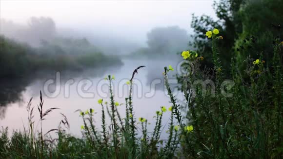 清晨的河雾和美丽的浮子视频的预览图