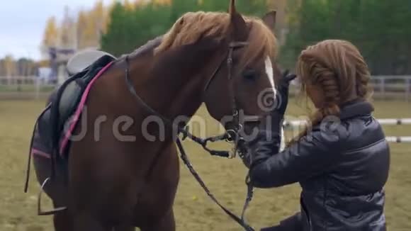 一个棕色头发的年轻女人正在训练一匹棕色的马女人和马一起散步视频的预览图