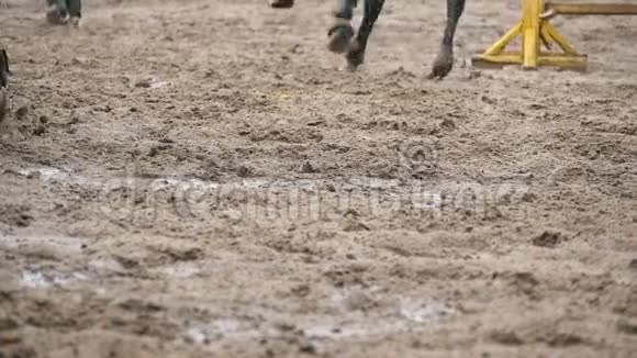 马脚在泥地上奔跑慢动作视频的预览图