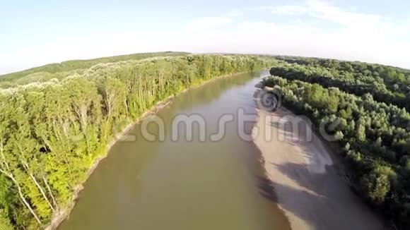 河在森林里流动视频的预览图