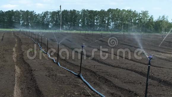 农业灌溉系统泉水视频的预览图