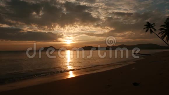 日落于热带海滩有蜿蜒的手掌和忧郁的天空视频的预览图