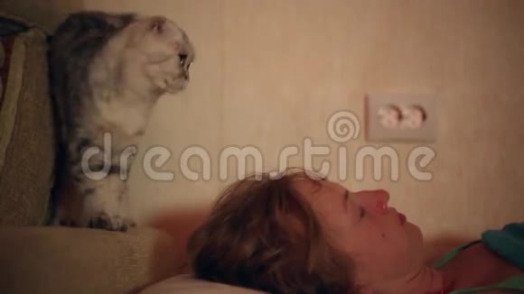 猫吵醒了他睡着的情妇视频的预览图