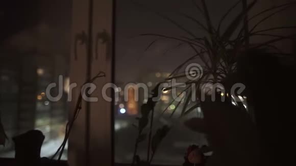 窗户里的夜城视频的预览图