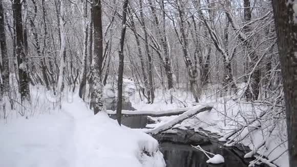 美丽的冬季公园春天从融化的雪流出来河流在冬天的森林里树木覆盖着雪视频的预览图