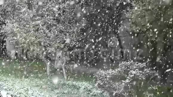 花园里美丽的春雪慢动作视频的预览图