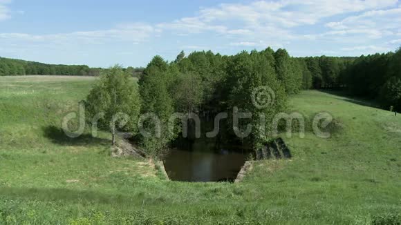 放松乡村景色池塘和森林视频的预览图