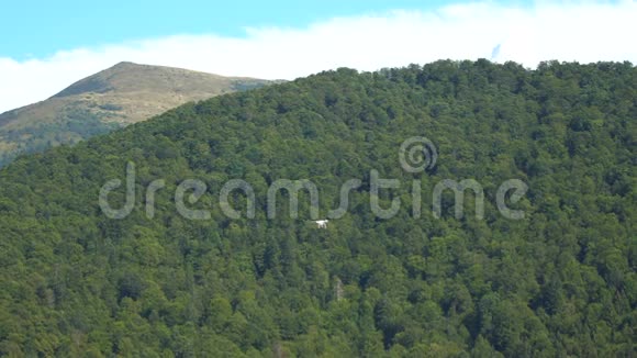 以山林为背景的无人机飞行视频的预览图