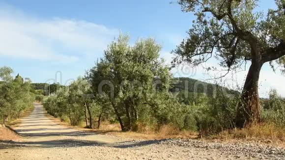 橄榄树和蓝天与白色的道路在基安提地区靠近佛罗伦萨托斯卡纳意大利4KUHD视频视频的预览图