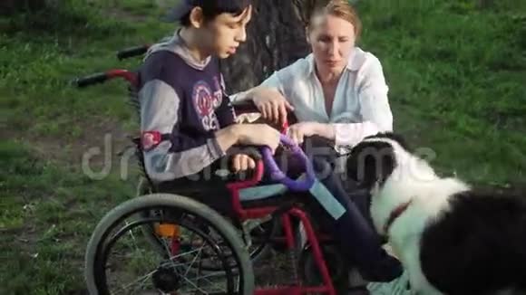 妈妈带着狗和儿子坐轮椅走路视频的预览图