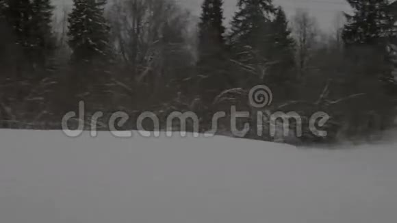 从车窗列车上看到雪树视频的预览图