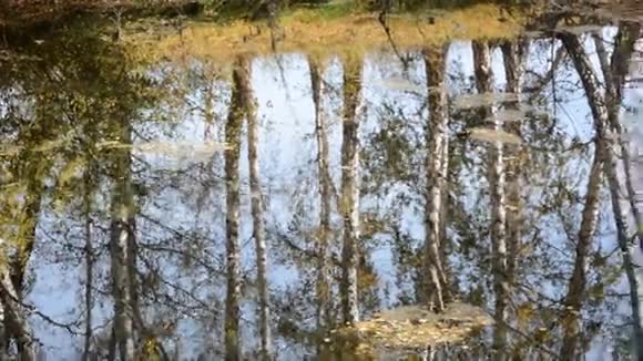 秋天湖上树木的倒影视频的预览图