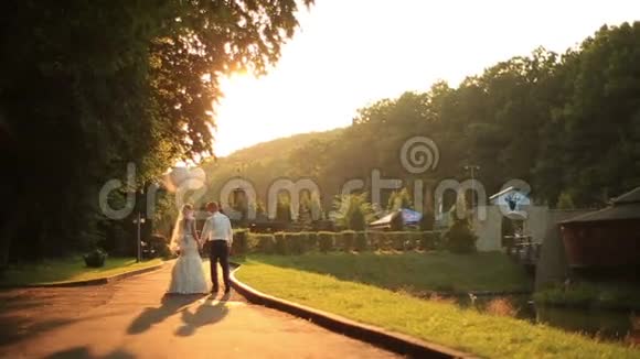 美丽的新婚夫妇带着气球在金色的秋天公园散步在金色的夕阳下轻轻地接吻视频的预览图