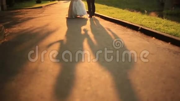 美丽的新婚夫妇带着气球在金色的秋天公园散步在日落时轻轻地接吻视频的预览图