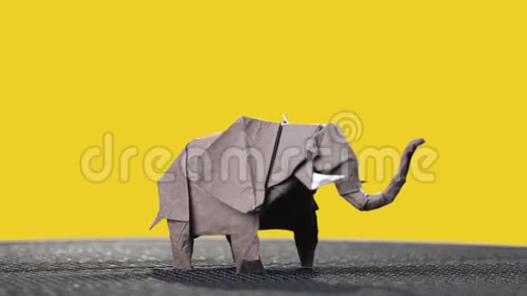 彩色背景上的折纸大象视频的预览图