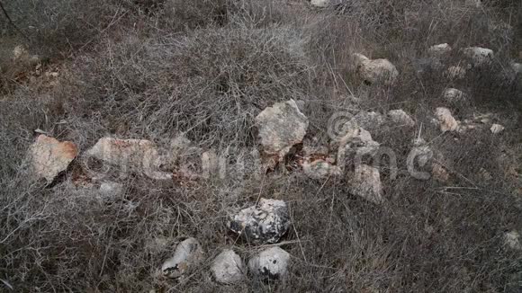 塞浦路斯岛石上的干草视频的预览图