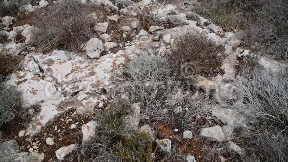 塞浦路斯岛石上的干草视频的预览图