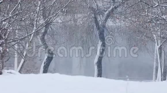 下雪视频的预览图