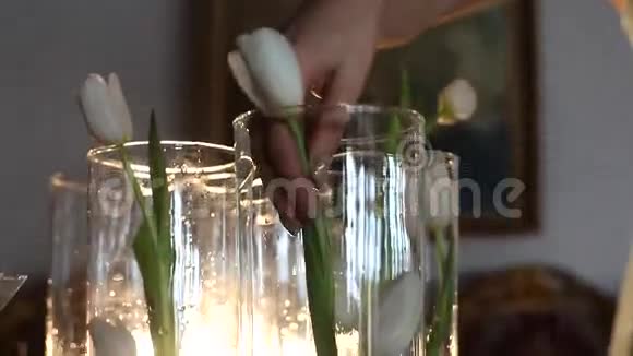 花商把白色郁金香送到透明玻璃花瓶视频的预览图