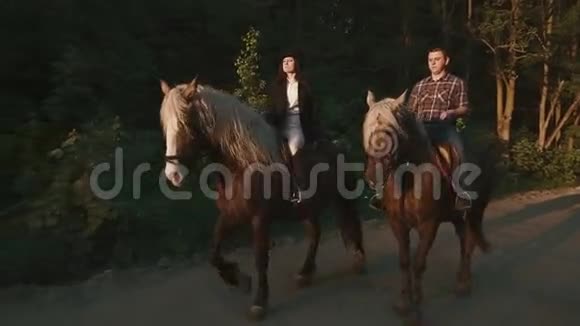 几个职业骑师骑着马在乡间小路上聊天迷人的英格兰乡村视频的预览图