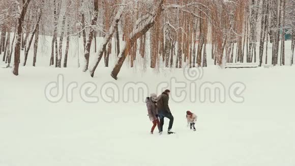 年轻的家庭在雪地里玩耍和玩耍视频的预览图