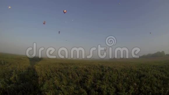 清晨飞过田野的景色视频的预览图