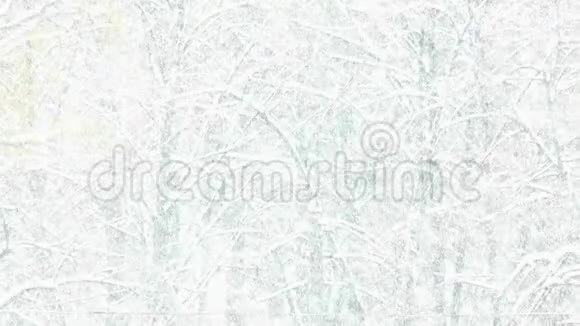 关闭冬季森林背景下的降雪视频的预览图