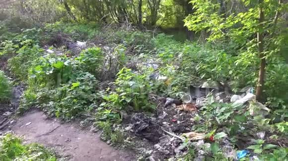 环境问题森林里的垃圾堆视频的预览图