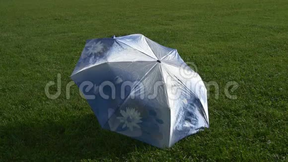 雨滴伞在草地上干视频的预览图
