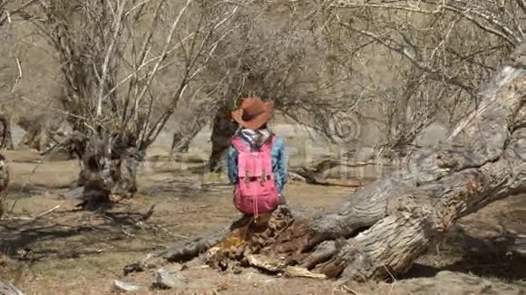 一个戴着宽边帽子的女孩欣赏森林环顾四周特写视频的预览图