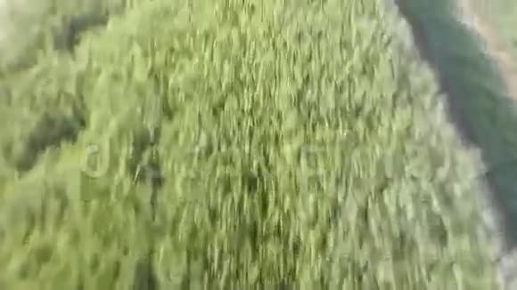 在美丽的一天飞越意大利北部稻田视频的预览图