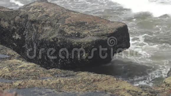 海浪溅落在礁石上视频的预览图