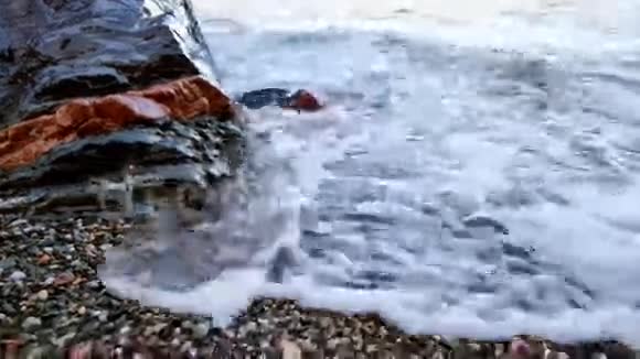 维珍地中海海滩稳定的骆驼射击飞行视频的预览图