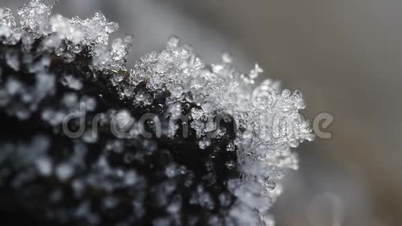 融化的海霜颗粒的宏观时间推移野生动物自然中春季改造的雄伟之美融化的雪视频的预览图