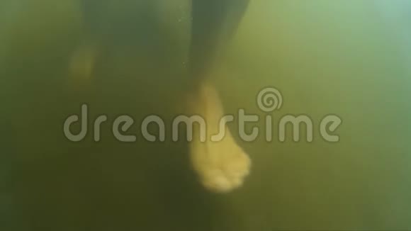 一个人在河边的水下脚步声视频的预览图
