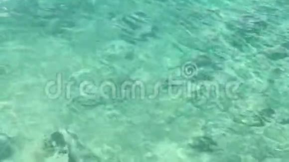 加勒比海清澈的海水视频的预览图